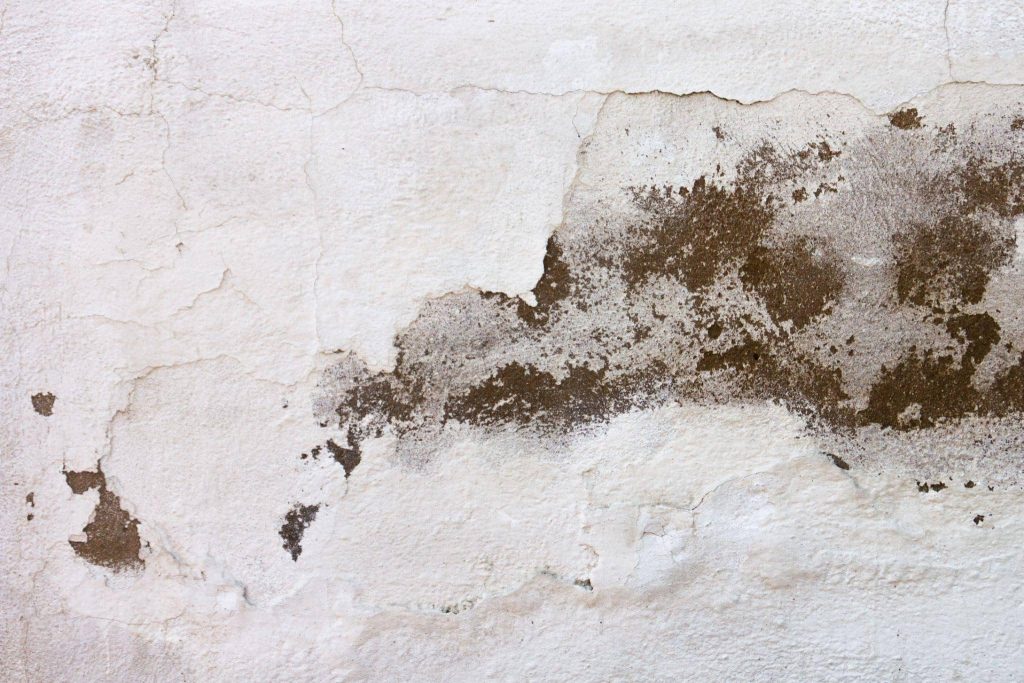 surrey damp proofing